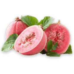 guava